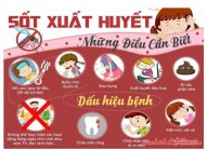 Những điều cần biết về sốt xuất huyết Những điều cần biết về sốt xuất huyết