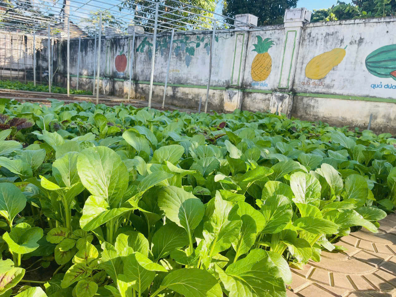 z7402257297242_a83b2e7cd4b323d58b3353d9a93778e3