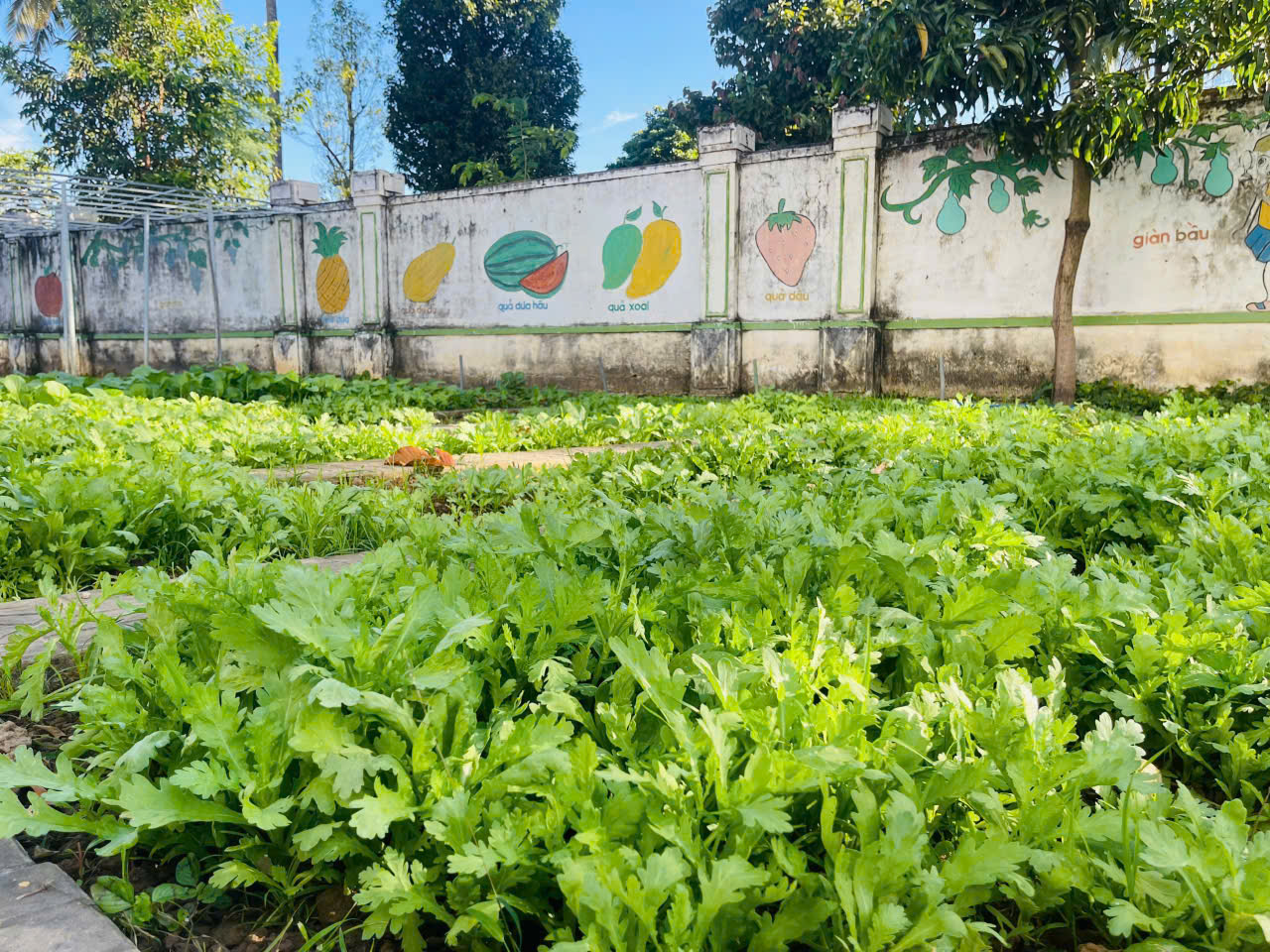 z7402257303297_2124615c49827b09f7bc64aa89239047