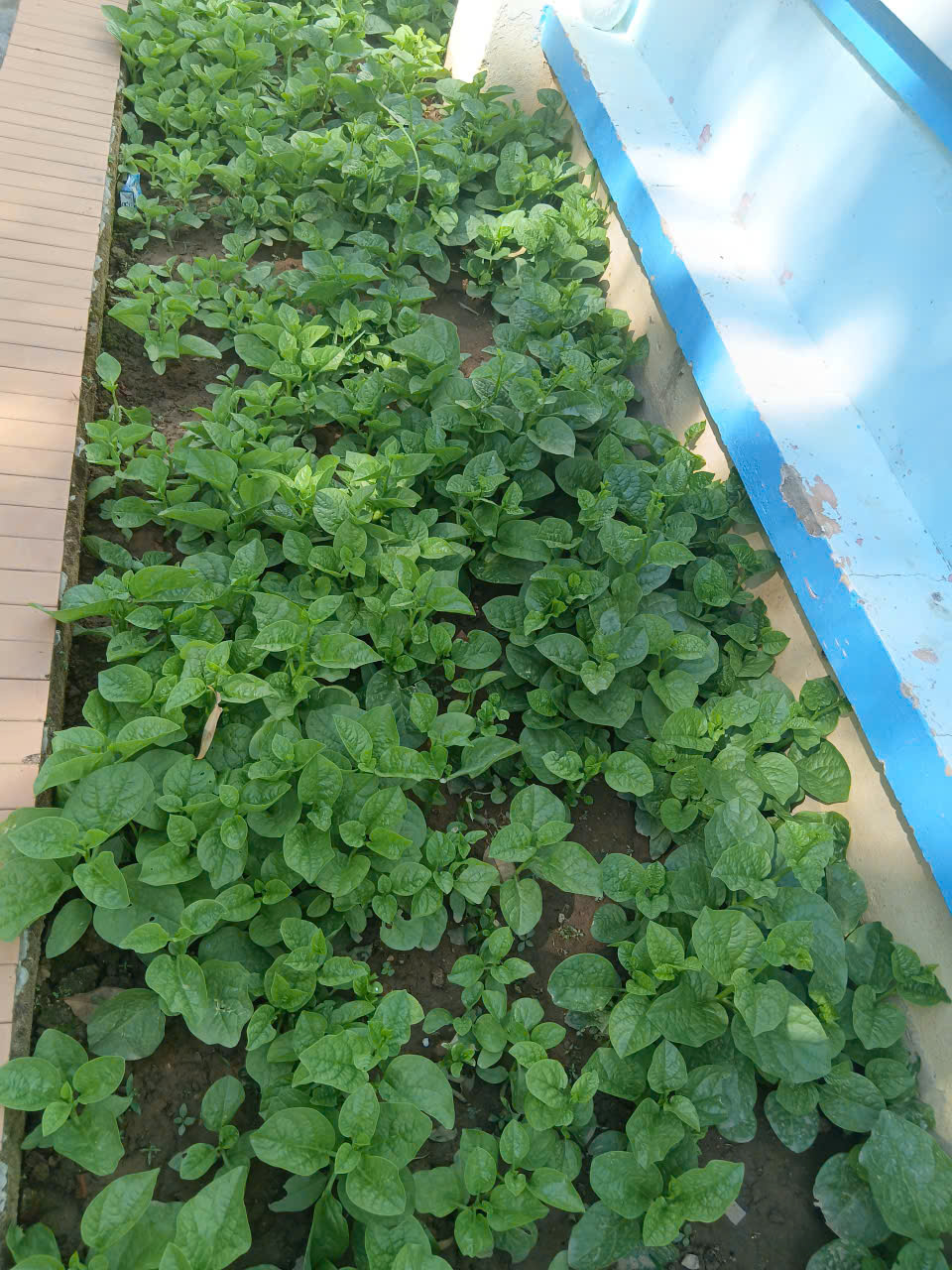 z7402257345868_7e7634581c37de09e922f2890c5a62ab