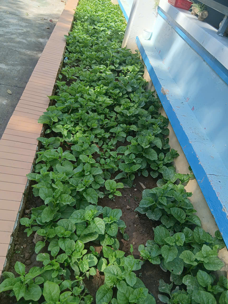 z7402257399926_281b98a5b30989569c693f3951552072