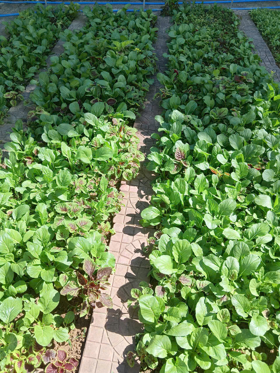 z7402257400875_8a963ec05a812f0e4376377c7d984bee