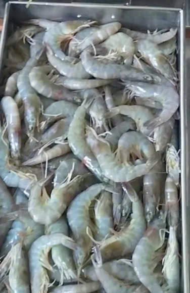 z7633070279117_e0e4b6a856606734452145ee31e9a688