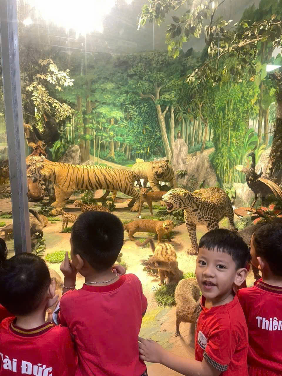 z7773790733613_d4d964bea4d91816b1ef273639684b66